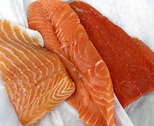Salmon