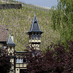 Trimbach