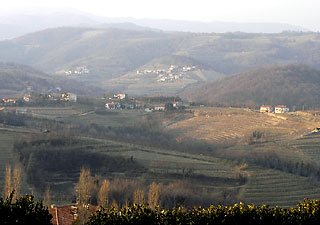 Collio in Friuli