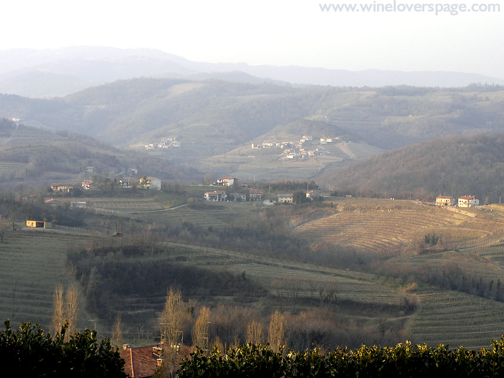 Collio