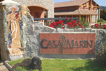 Casa Marin Winery