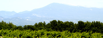 Cotes du Rhone