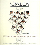 Galea