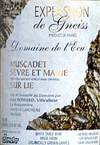 Gneiss