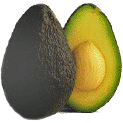 Hass avocado