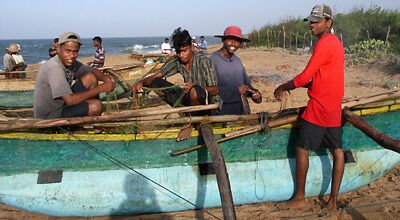 Orus in Sri Lanka