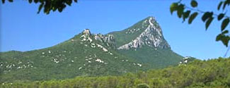 Pic Saint-Loup