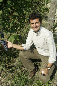 Vineyards at Tramin