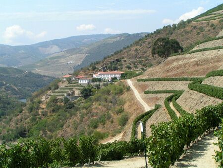 Quinta do Noval