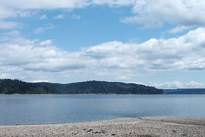 Puget Sound View from Hoodsport Winery