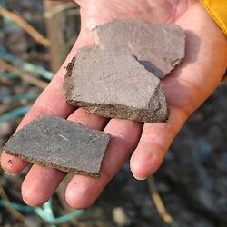 German terroir