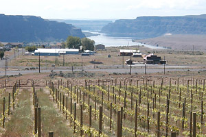 View from White Heron