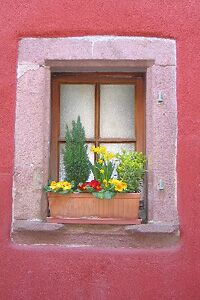 Window box
