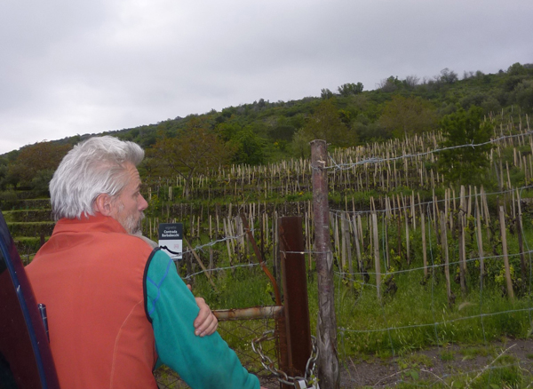 Cornelissen and vineyard.