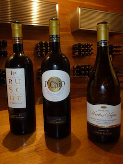 Wines of Umani Ronchi