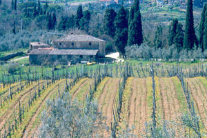 Chianti Classico