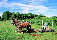 Plowing