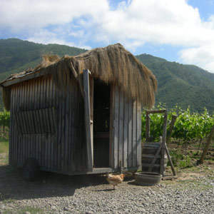 Portable chicken coop