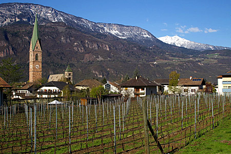 Cantina Terlano, Alto Adige, Italy