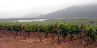 Veramonte
