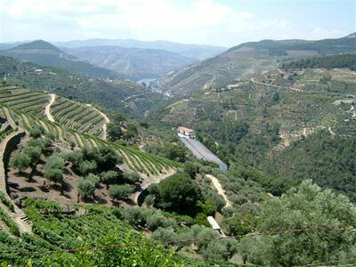 The Douro Valley